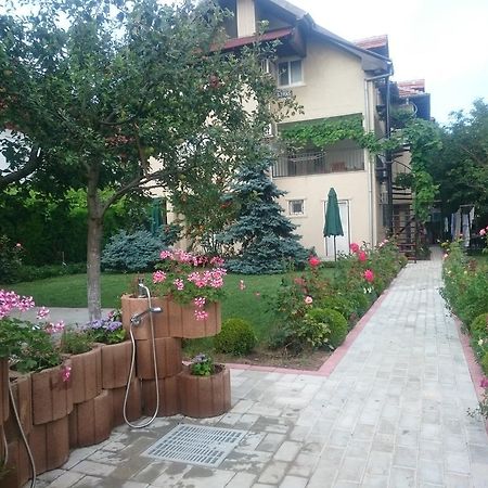 Zoi Residence コスティネシュティ エクステリア 写真